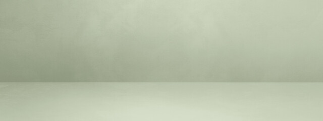 Empty light green concrete interior background