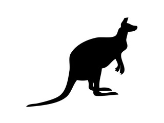 kangaroo