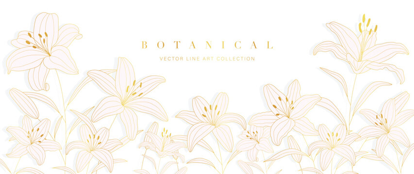 Luxury tropical flower golden line art wallpaper. Elegant botanical pale pink lily flowers background. Design illustration for decorative, wedding card, home decor, packaging, print, cover, banner.