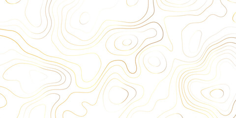 Fototapeta premium The stylized height of the luxury golden topographic contour in lines and contours. 