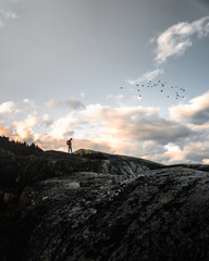 man standing on mountain with birds flying above