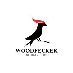 woodpecker logo design white background