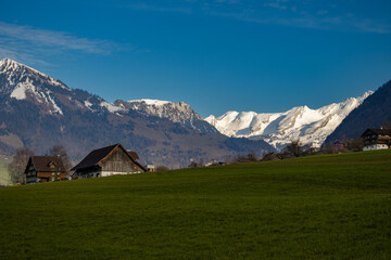 Alpine meadows with Swiss Alps and glacier in the background 