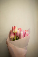 bouquet of pink tulips wrapped in pink paper close-up on a white background.	
