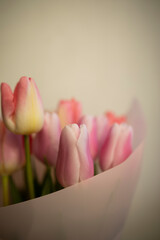 bouquet of pink tulips wrapped in pink paper close-up on a white background.	