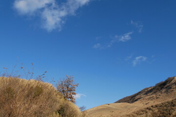 狭霧台からの冬の由布岳と青空