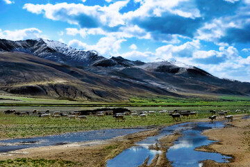 landscape with lake and mountains in Ladakh, India