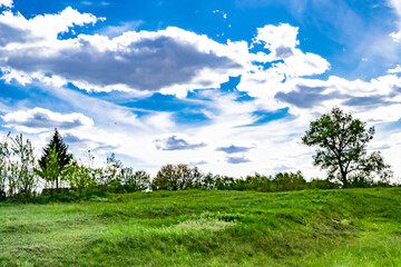 Beautiful horizon scenery in village meadow on color natural background