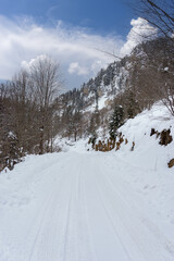 Landscape on the cold winter morning. Location place Giresun Highlands, Black Sea - Turkey