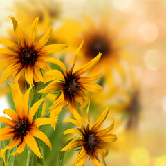 Obraz premium beautiful festive flowers on colorful background