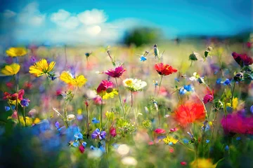 Draagtas Beautiful summer flowers in colorful garden landscape (Generative AI) © Robert Kneschke
