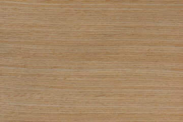 Wood texture. Natural maple texture. Maple board for furniture production. Untreated young maple board with fine texture in light color
