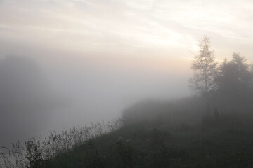 Obraz na płótnie Canvas Morning rural landscape with fog.