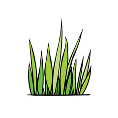 Fototapeta premium A bunch of green grass. Hand drawn color vector illustration, clip art in doodle flat style, isolated. Nature theme