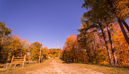 Path in a Canadian forest during a beautiful Indian summer