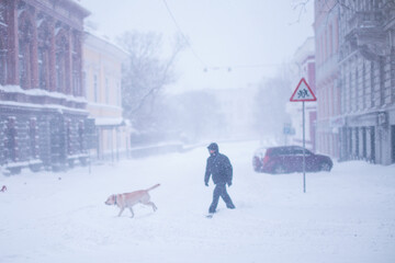 Walking with a Labrador in snow city during snowstorm