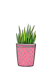 Pink flower pot with decorative grass, plant. Hand drawn simple outline vector color illustration in doodle style, isolated. Design element, clip art for decoration