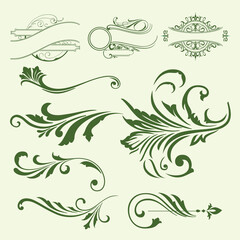 Fototapeta premium set of floral elements