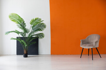 Interior armchair with green plant on white orange black background