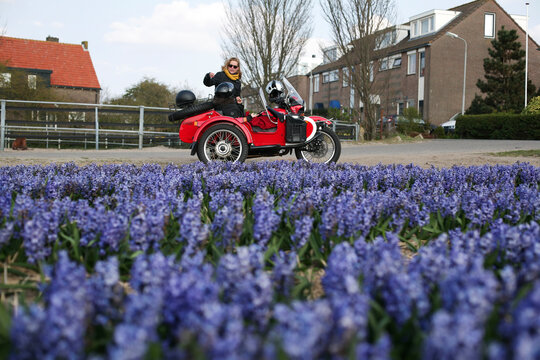 A motorcycle tour guide explaining the tulip fields in Holland.