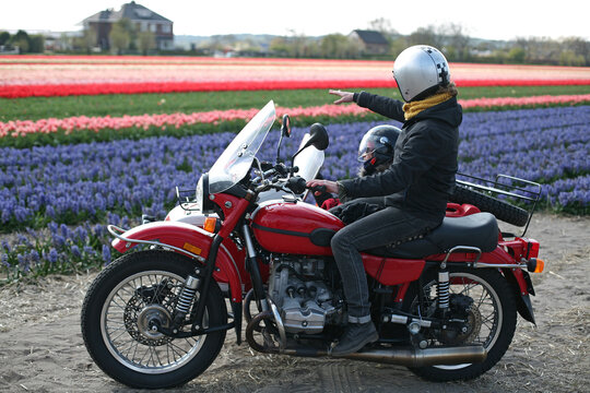 A couple of friends exploring the Dutch countryside go look at tulips