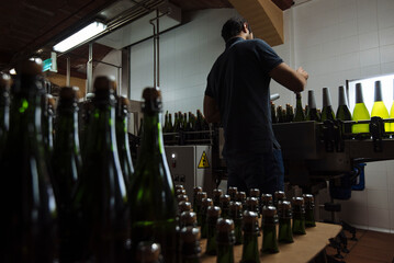 Man working at Cava production factory