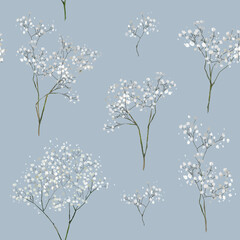 Gypsophila pattern. Baby's breath plants, blooming flowers, blue background. Hand drawn detailed botanical pattern for social media, web, cards.