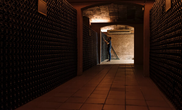 Man placing bottle in wine cellar