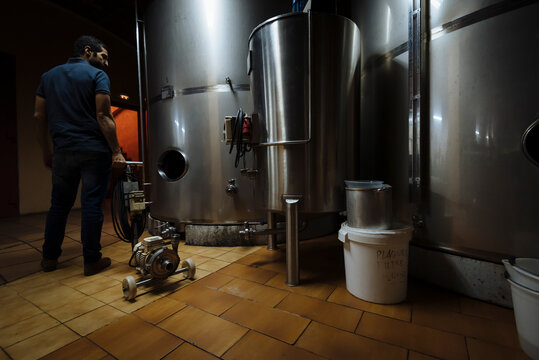 Man checking tank at production cellar