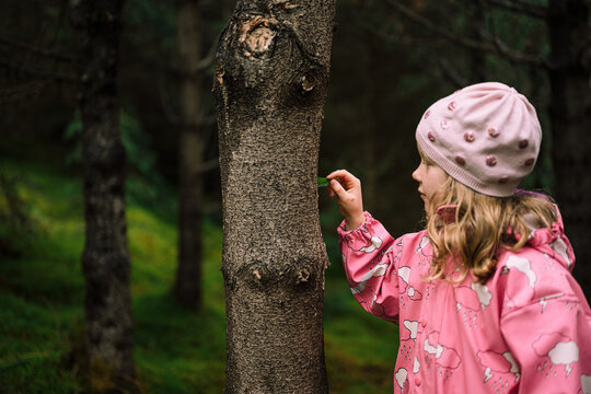 Girl touching tree with leaf in forest