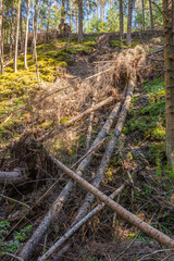 Die Landschaft von Südtirol