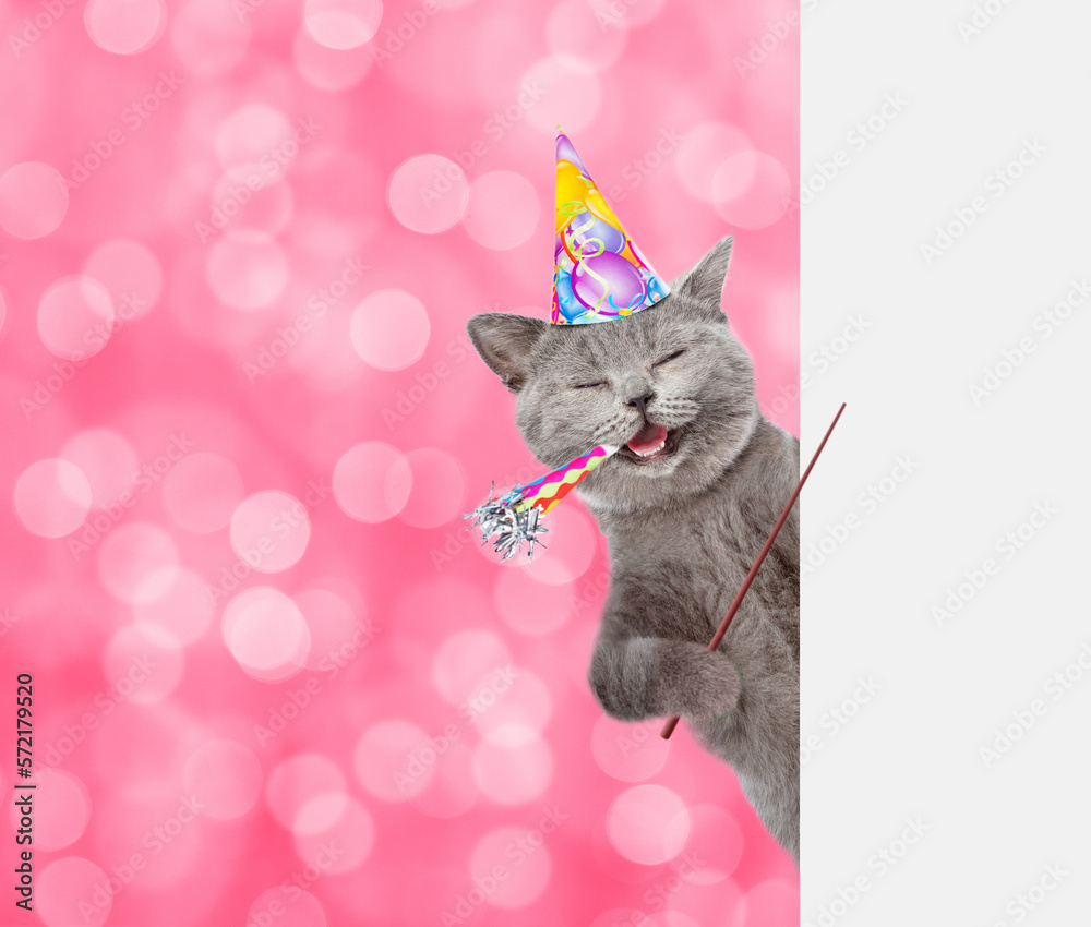 Poster Happy cat wearing party cap looks from  behind empty white banner and points on empty banner.  Shade trendy color of the year 2023 - Viva Magenta background. Empty space for text