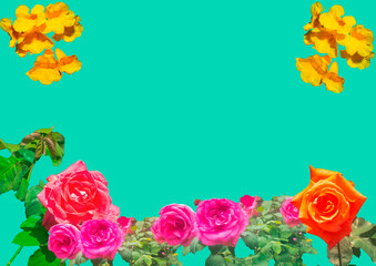 illustration, flowers on background,