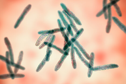 Mycobacterium Ulcerans, The Causative Agent Of Buruli Ulcer, 3D Illustration