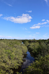 Fototapeta na wymiar Exploring Pelican Point Nature Reserve in Florida