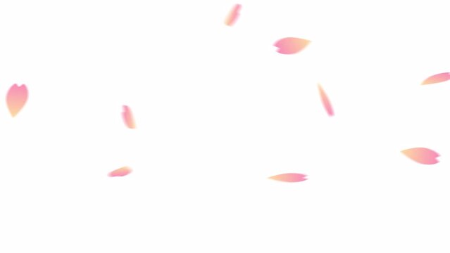 桜の花びらが横に舞うアルファつきアニメーション
