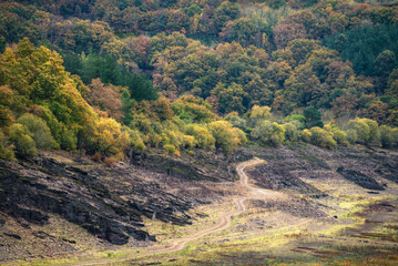 An undulating farm road leads into the woods near Portomarin Lugo Galicia
