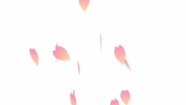 桜の花びらが舞い落ちるイラストのアルファつきループアニメーション
