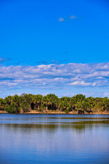 Obraz premium Exploring Pelican Point Nature Reserve in Florida