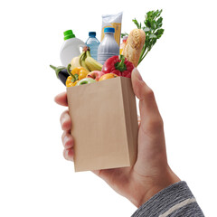 Customer holding a miniature grocery bag with assorted goods