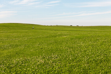 A large fresh green empty meadow stretches to the horizon and a blue sky in the sun.
