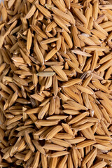 Close-up of paddy rice seeds in detail.