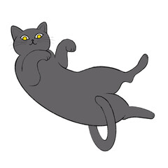 ヘソ天の猫、ロシアンブルーの仰向のイラスト、グレーの猫のイラスト、へそ天猫、ゴロゴロしている猫のイラスト、寝ている猫のイラスト