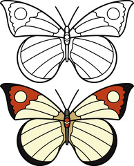 Hand drawn butterflies. Set of two butterflies,linear and colored.Vector illustration doodle style. Coloring.
