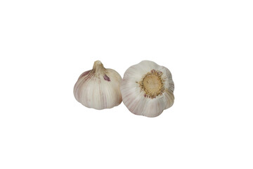 garlic 9, isolated on white background