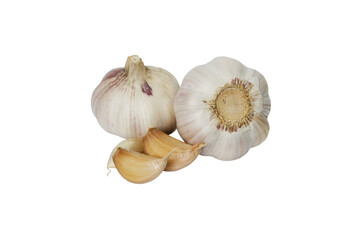 garlic 10, isolated on white background