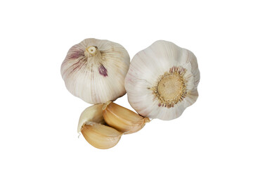 garlic 11, isolated on white background