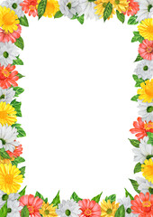 Obraz premium Hand-drawn watercolor frame with zinnia flowers chrysanthemum on white background. An illustration for printing design, textile, scrapbooking. Isolated on white. 