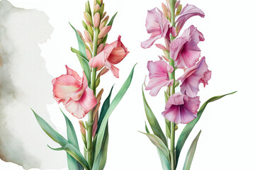 Gladiolus Flowers, Illustration, Generative AI