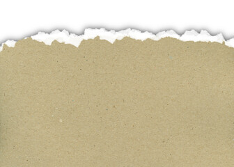 torn paper isolated on transparent background